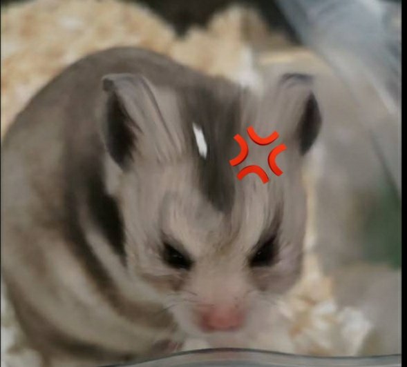 るなみん tweet media