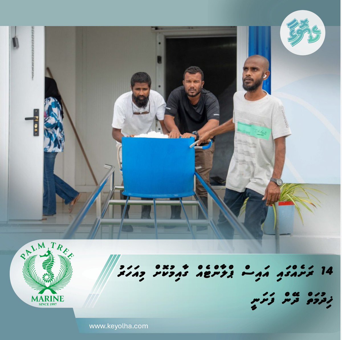 14 ރަށެއްގައި އައިސް ޕްލާންޓެއް ގާއިމުކޮށް މިއަހަރު ޚިދުމަތް ދޭން ފަށަނީ
keyolha.com/news/8854/