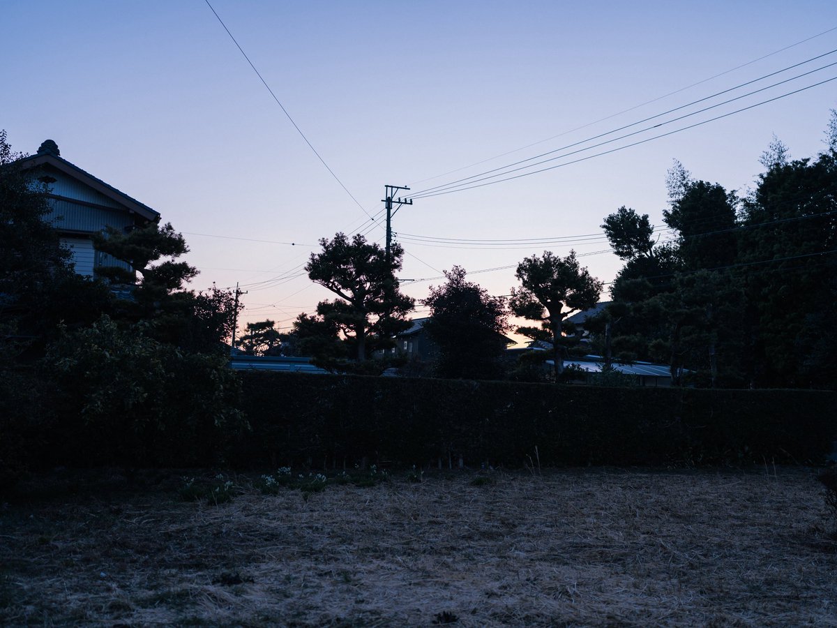 ironspring's tweet image. 今朝はうっすらと日が登り始めたぐらいの早朝に、家を出た。
朝早く、寒い日の朝にしか見れない景色や感情もあったりして、まさに『枯れ木に花咲くより、生木に花咲くに驚け』でした。
とても清々しく、いいなぁと思いながら写真撮っていたらバスに乗り遅れそうになりました。