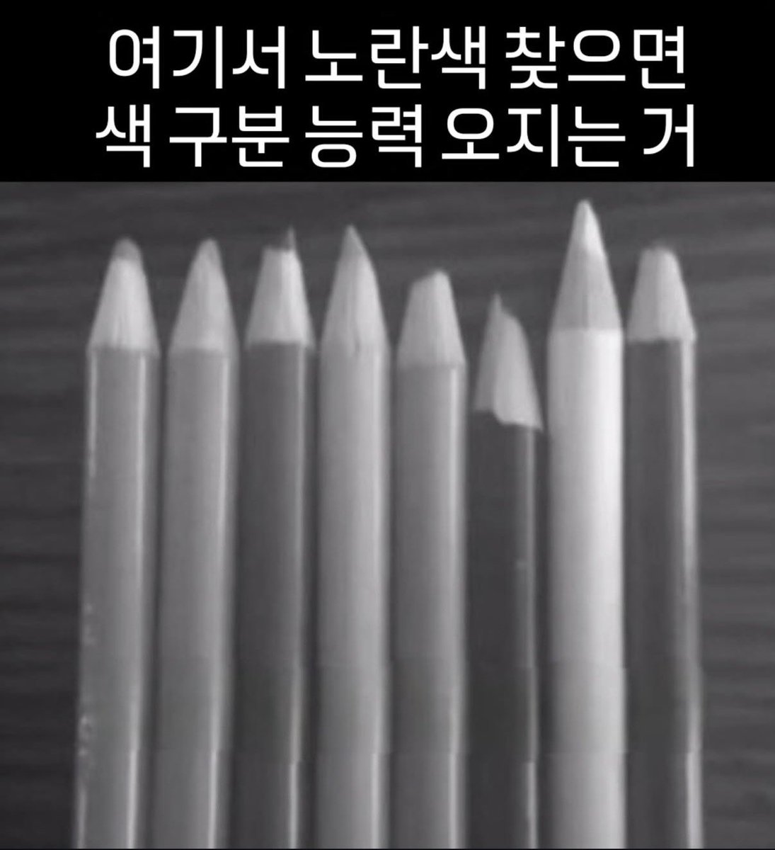 캣츠파파 tweet media