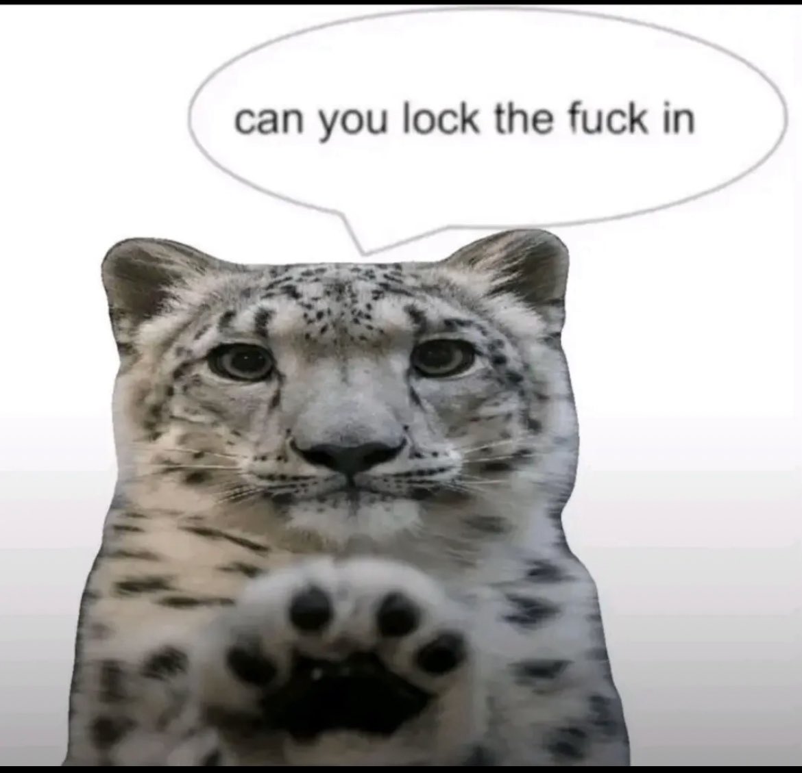 EmptySync ➡️ FurDu, MP tweet media