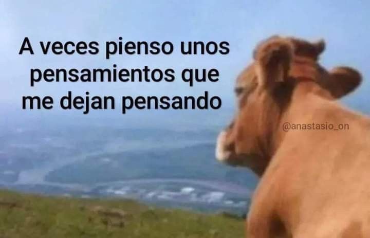 Ojos color sol (@ojoscol0rsol) on Twitter photo 