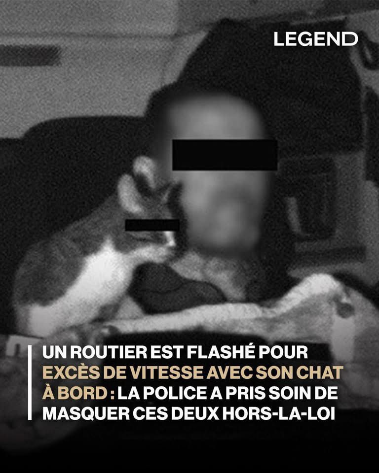 Lexis 🐈 🚺 et Sauronne 🐈‍⬛ 🚺 tweet media