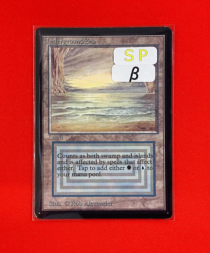 Product Information】 ⚠️Emergency Arrival at Hareruya Kawasaki