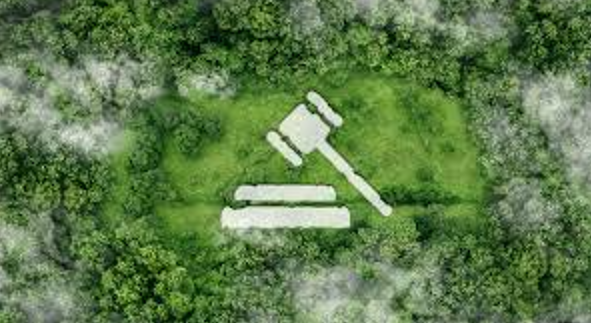 Striking the balance between growth and green priorities

soundnlight.in/striking-the-b…

#SLSV #SLSVIndia #SustainableGrowth #GreenDevelopment #ClimateAction #EcoFriendlyEconomy #LowCarbonFuture #GreenPriorities #ResponsibleDevelopment #EnvironmentalProtection <a href="/indSupremeCourt/">Supreme Court of India</a>