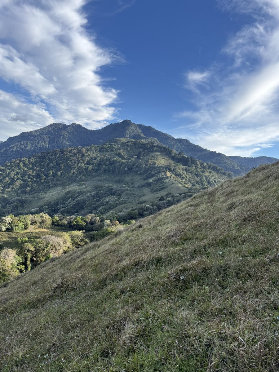 Roxander tweet media