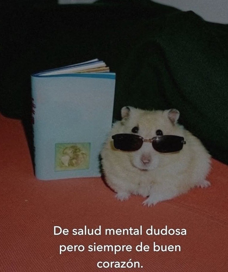 Ojos color sol (@ojoscol0rsol) on Twitter photo 