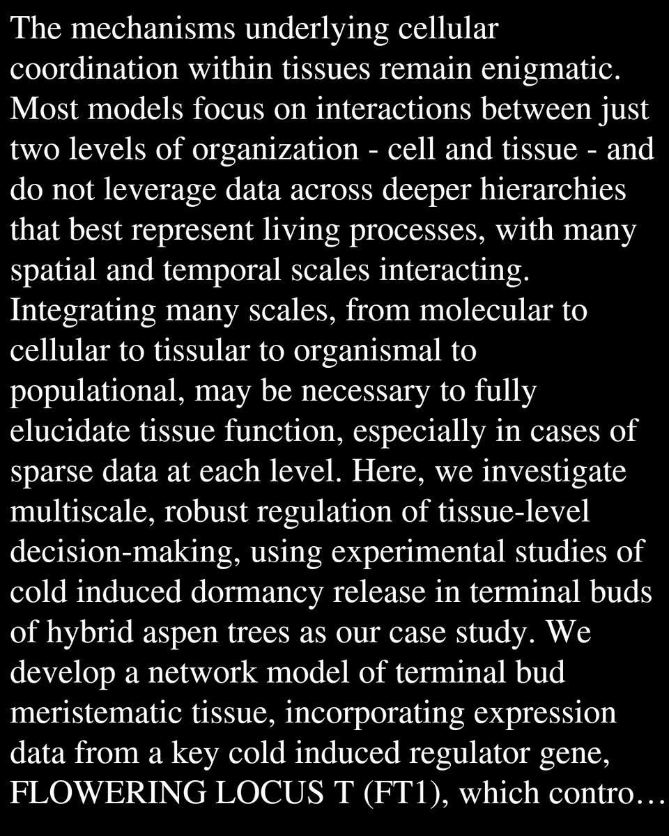 A Multiscale Model of Collective Decision-Making in Hybrid Aspen Tree Tissues Describes Bud-Dormancy Break

Dromiack, H., Khanapurkar, S., Phillips, R., de Souza Moraes, T., Davis, G., Pandey, S., Aryal, B., Nair, A., Bassel, G., Bayer, E. E., ...
biorxiv.org/content/10.648…