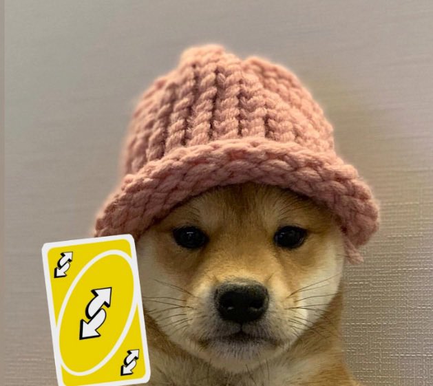 Lucy tweet media