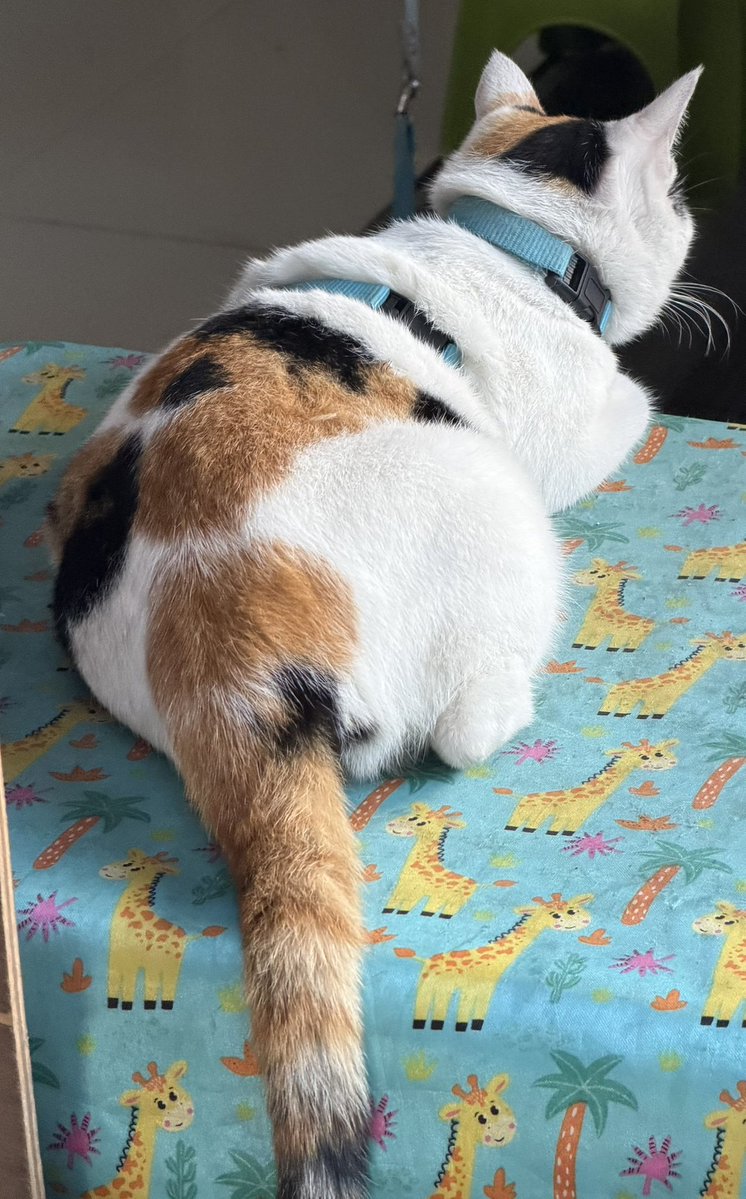 น้องชื่อบ้องแบ๊วค้าบบ หุ่นดีหนุบหนับๆ