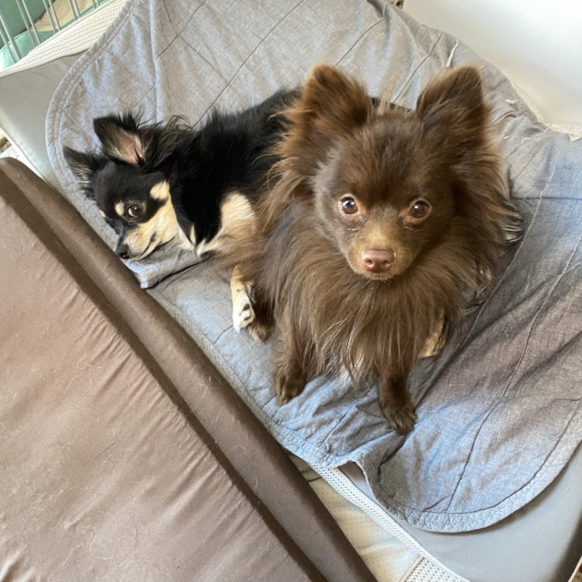 ファンボックスにもう少し写真あげています。 