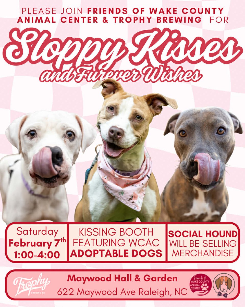 I'll be at the Sloppy Kisses and Furever Wishes adoption event for the <a href="/WakeGOVPets/">WakeGOV Pets</a> hosted by the <a href="/FriendsWCAC/">Friends of WCAC</a>  this Saturday.  I'll be there are a volunteer with Roly-Poly. Hoping to help this girl find her forever home. facebook.com/events/4437171…
#love #AdoptMe #VolunteerLife