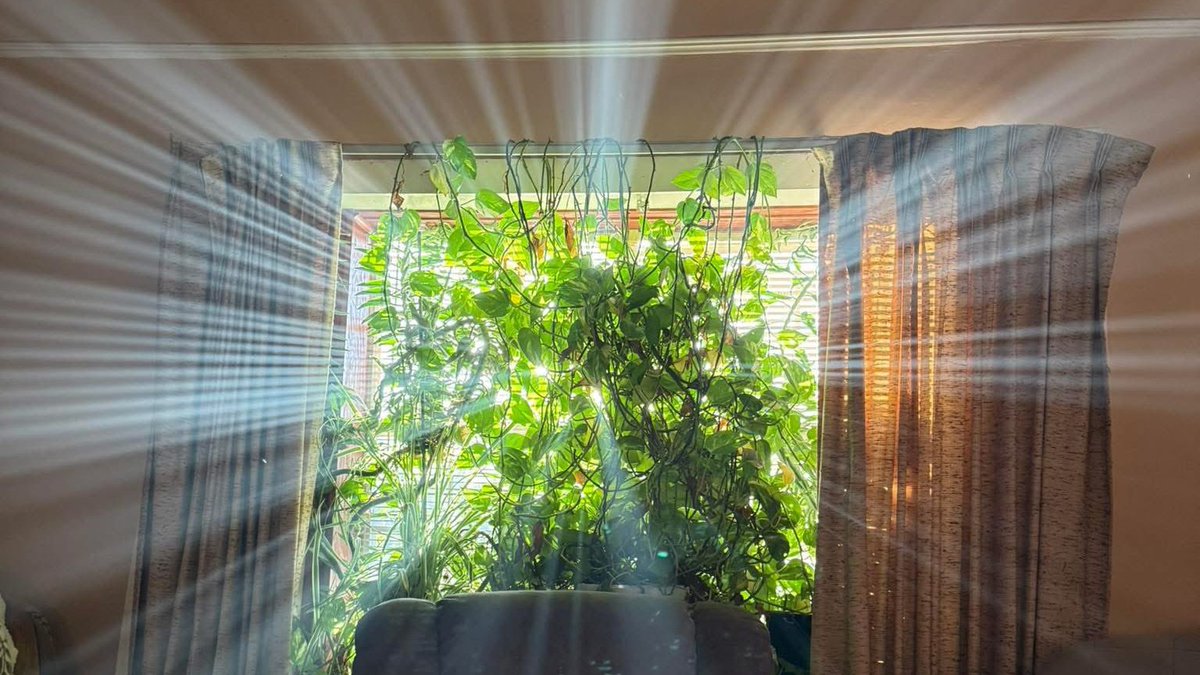 sharid000's tweet image. مَاذا لو مَرت أشِّعة الشَمس من خِلال قَلبي أيضًا!"