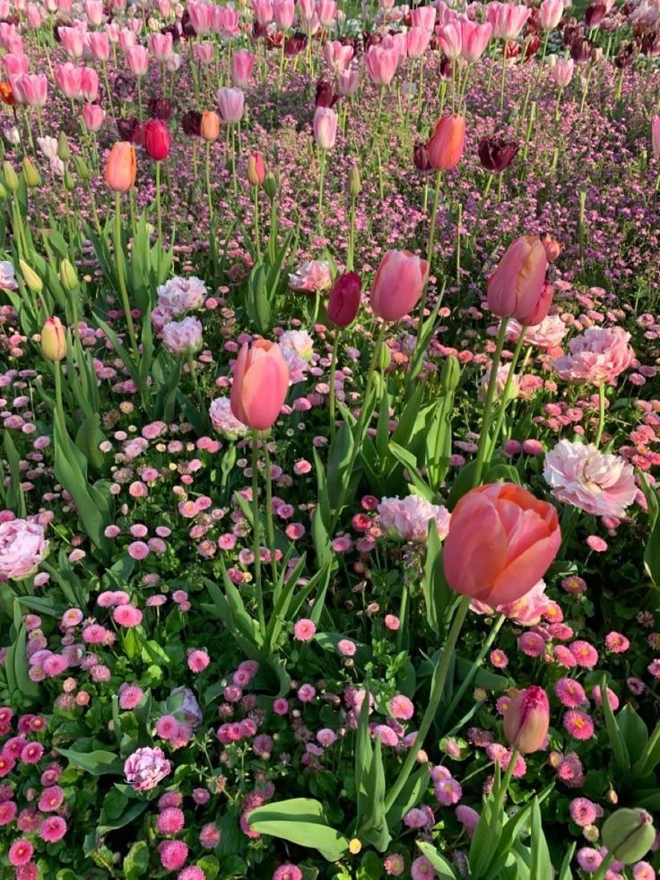 ᅠ ᅠ (@greendreaams) on Twitter photo 