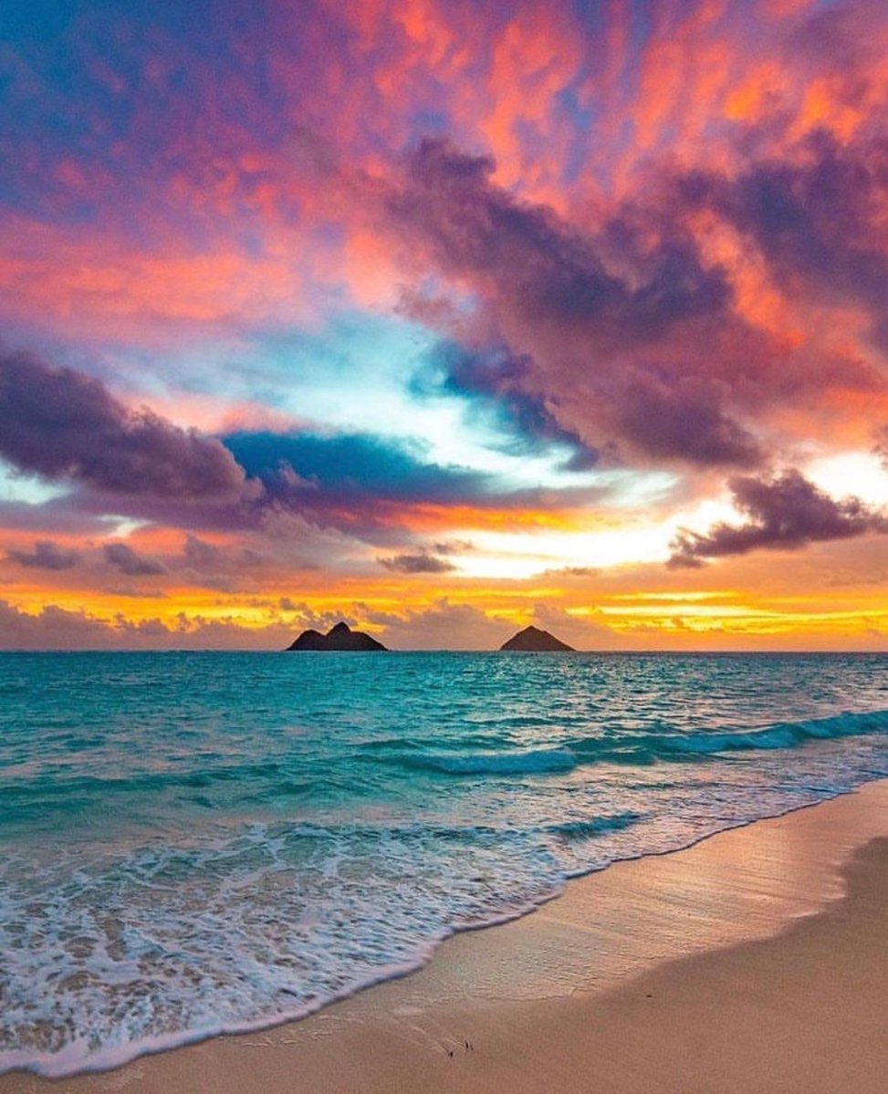 aestheticspost_'s tweet image. 