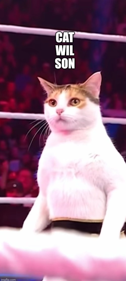 Hip Hoptimus Prime🎮🎧👨🏾‍🦲 tweet media