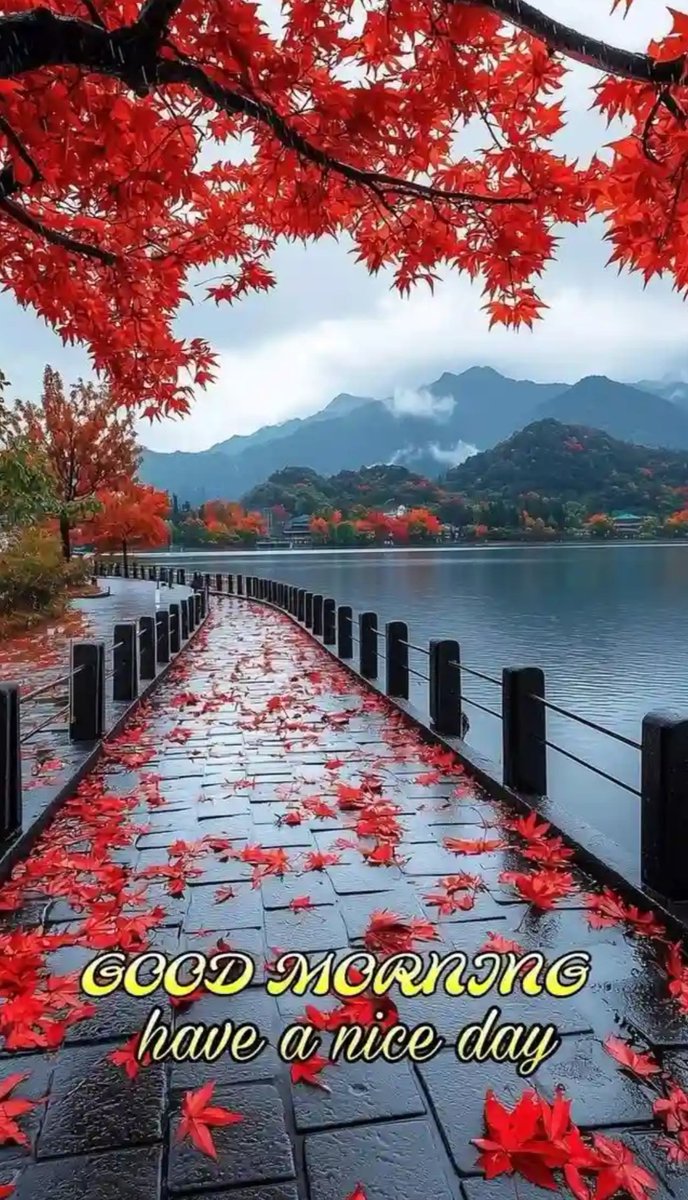 Ali Ka Adda tweet media