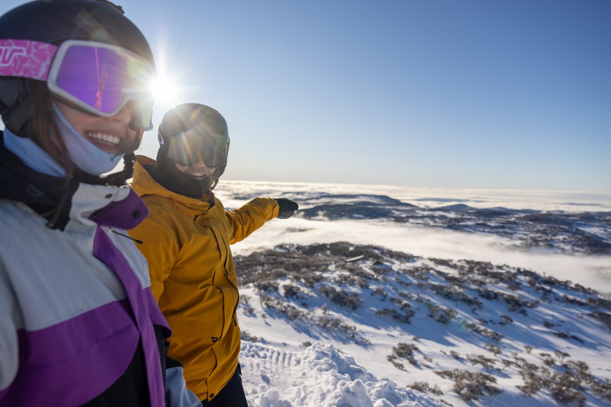 Perisher tweet media