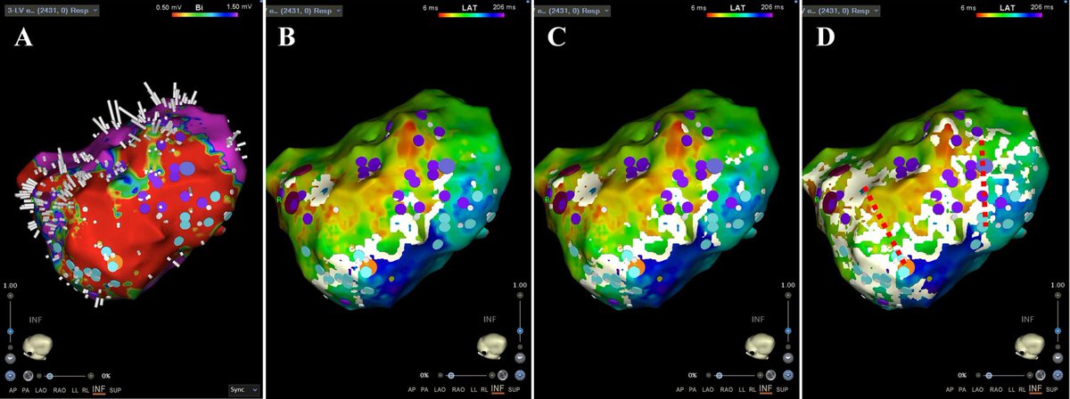 Twinkle xu tweet media