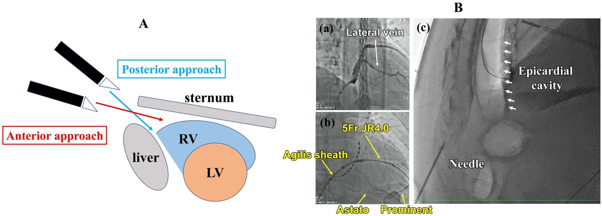 Twinkle xu tweet media