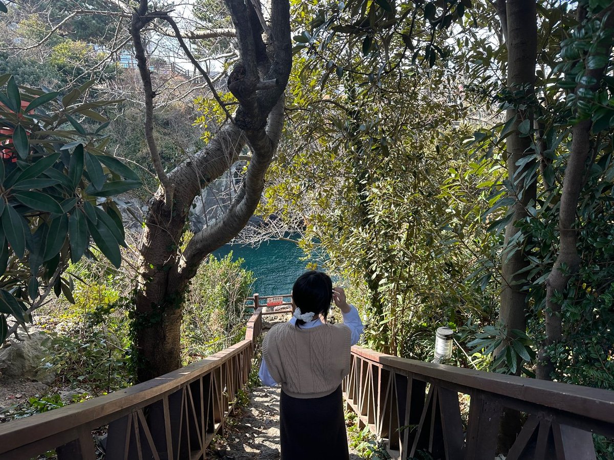 note465450's tweet image. 