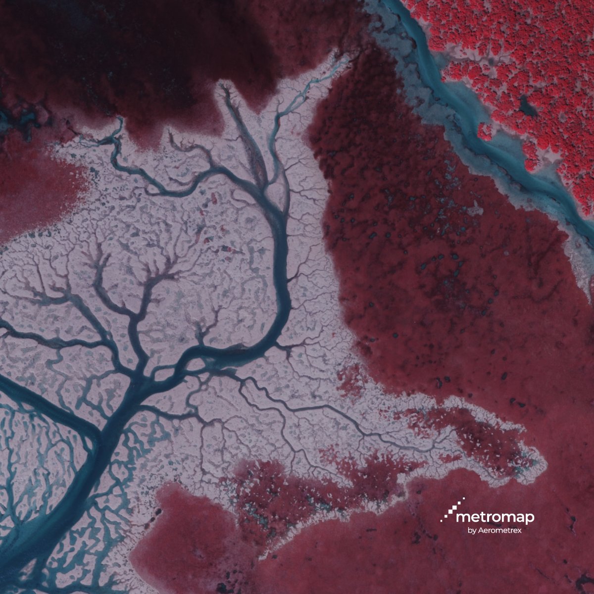 Aerometrex tweet media