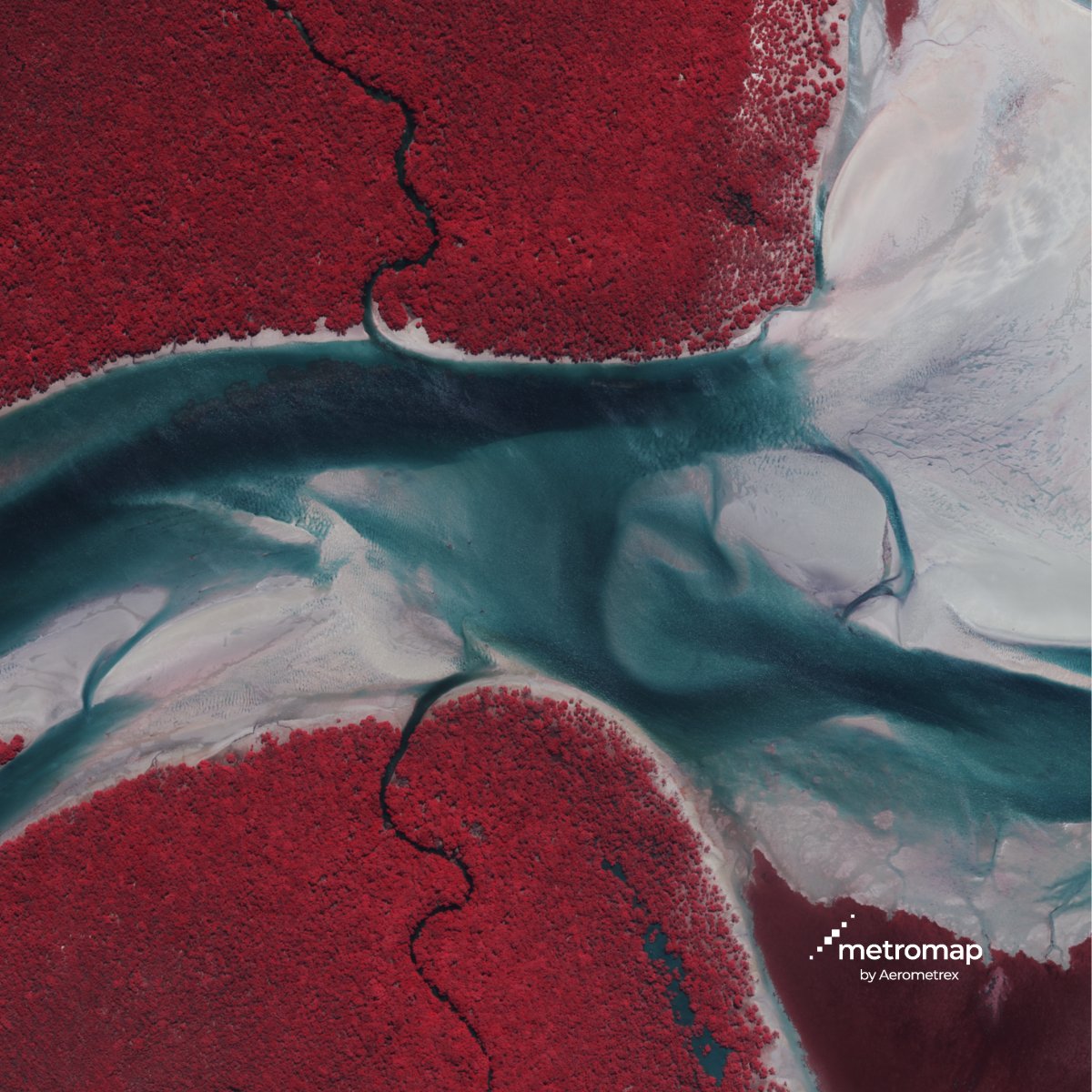 Aerometrex tweet media