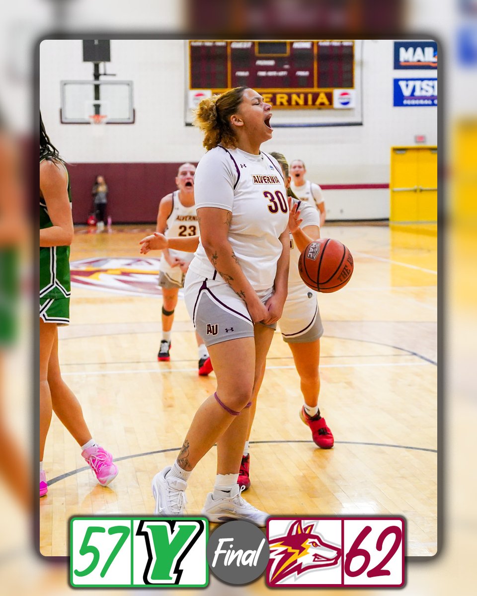 Golden Wolves tweet media