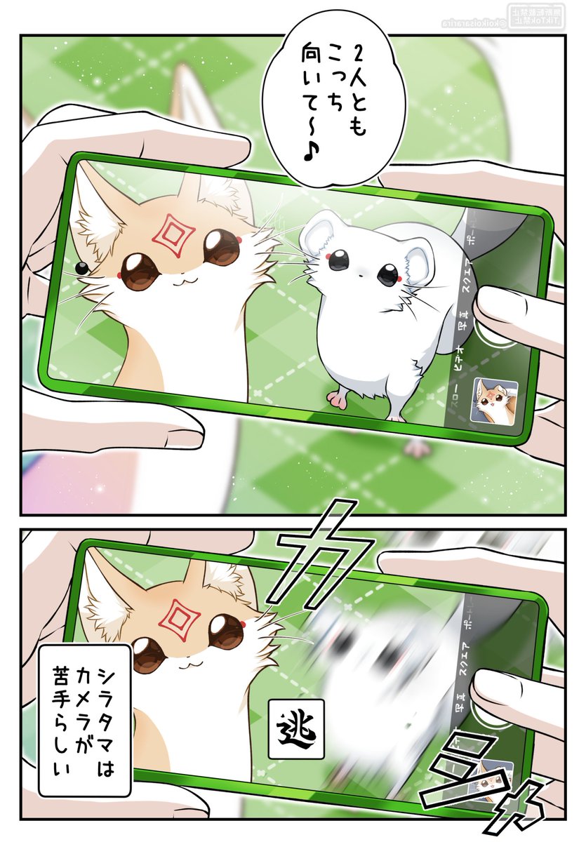 (2/2) 