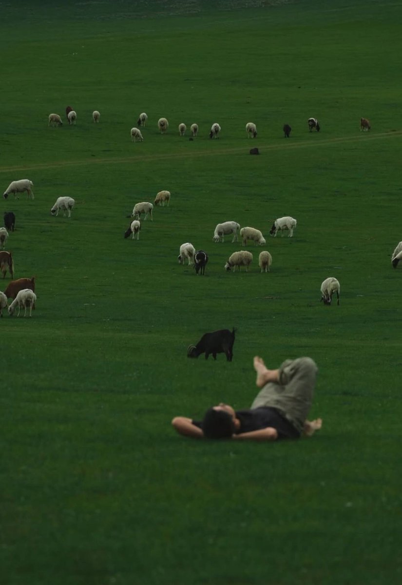 ᅠ ᅠ (@greendreaams) on Twitter photo 