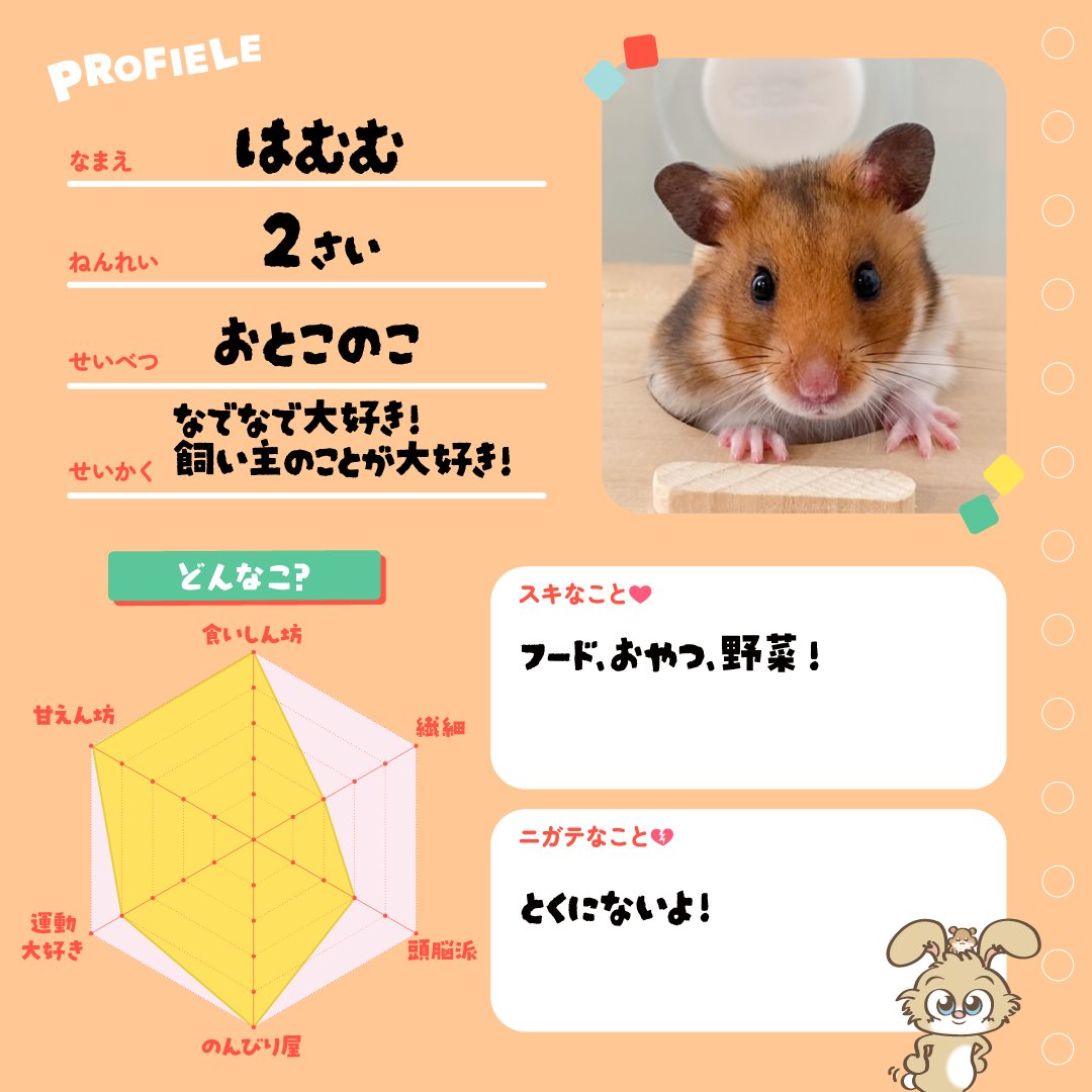 💚#第3期ミニバサダー ご紹介第1弾💚

10匹のメンバーを順番にご紹介✨

①マイペースでおっとりGIRLなべるちゃん

②思いやりがあってとっても賢いポセちゃん

③なでなでも飼い主さんも大好き！はむむくん

📢投稿内容に誤りがあったため、再度投稿させていただきます。