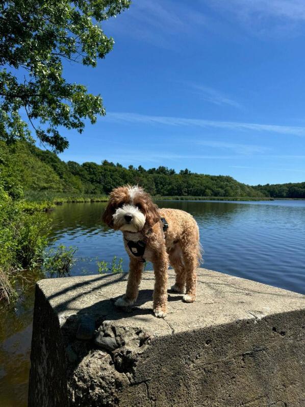 leopal200's tweet image. Hey buddy got ya