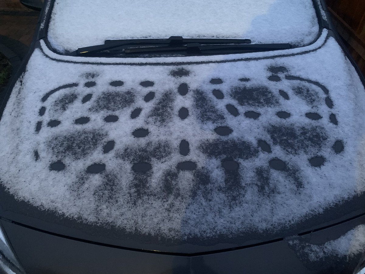 foolish lamp tweet media