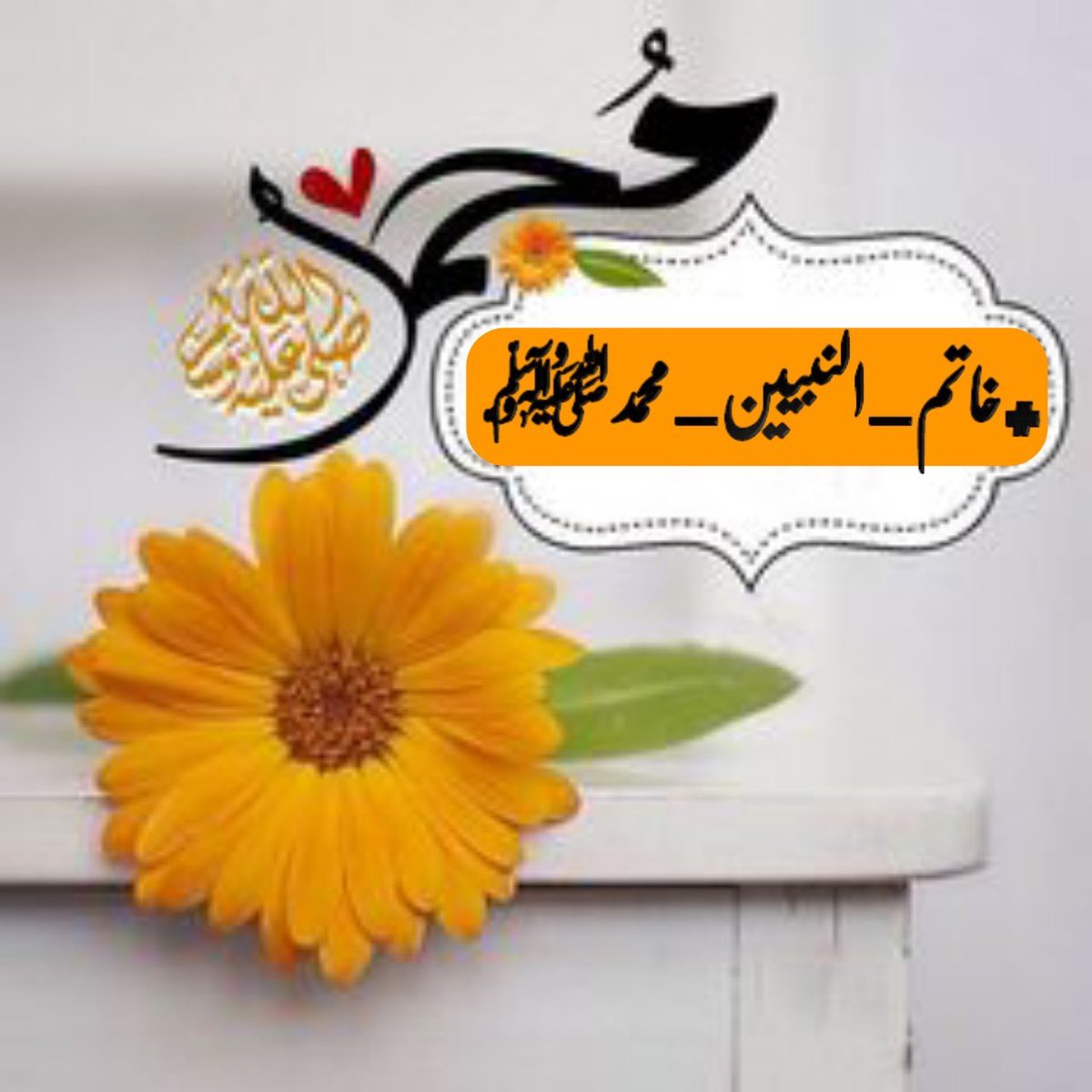 امان اللہAman ullah tweet media