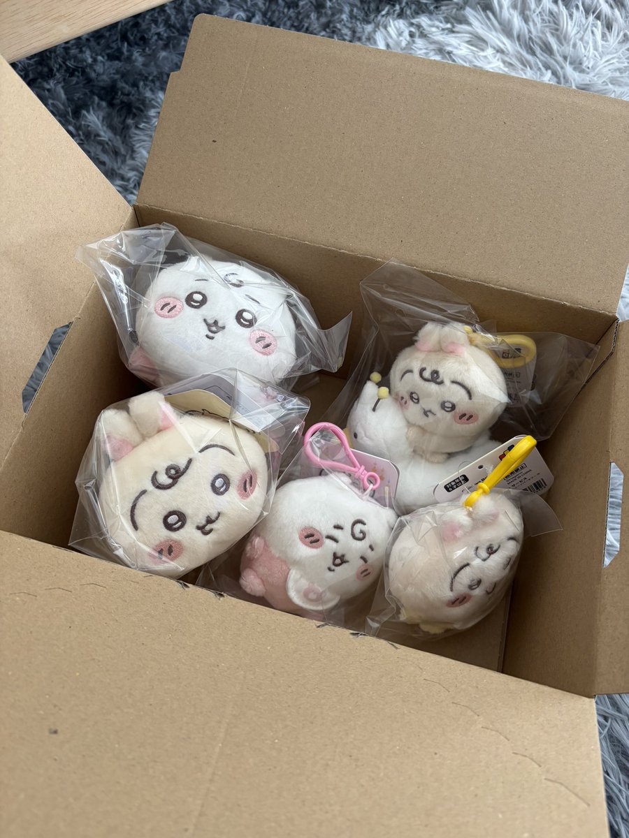 fm37dk415's tweet photo. 可愛すぎてずっと箱から出せずにいる https://t.co/qCIAleDH2N