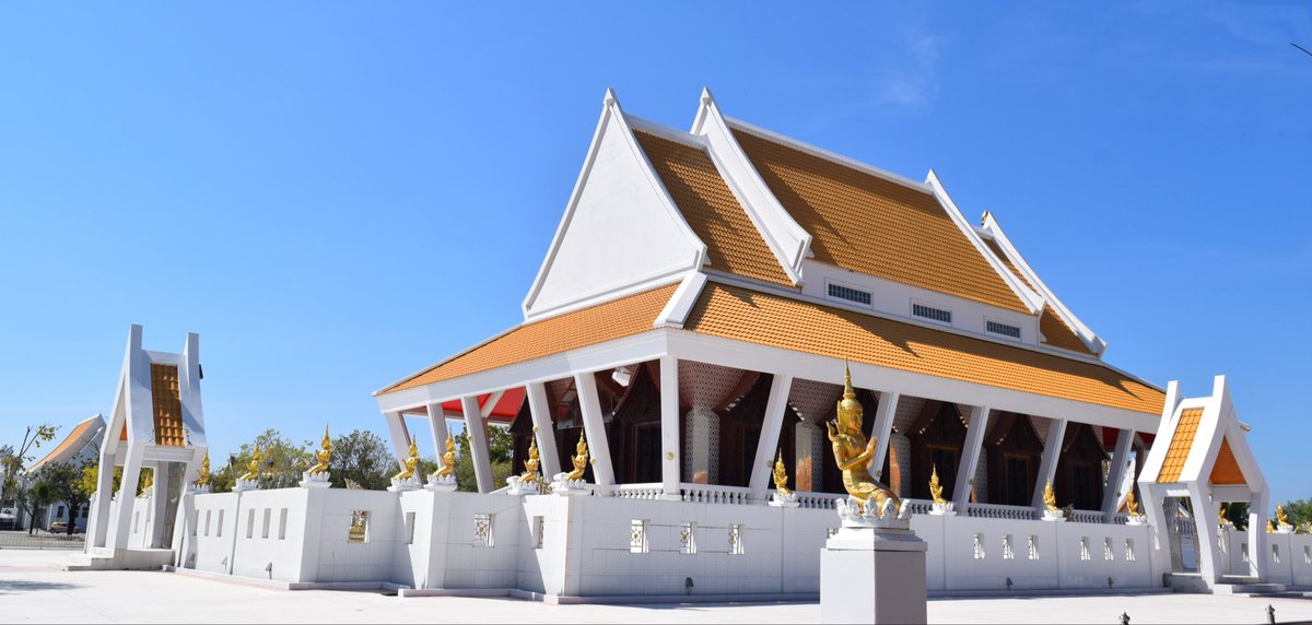 Pat Comer tweet media