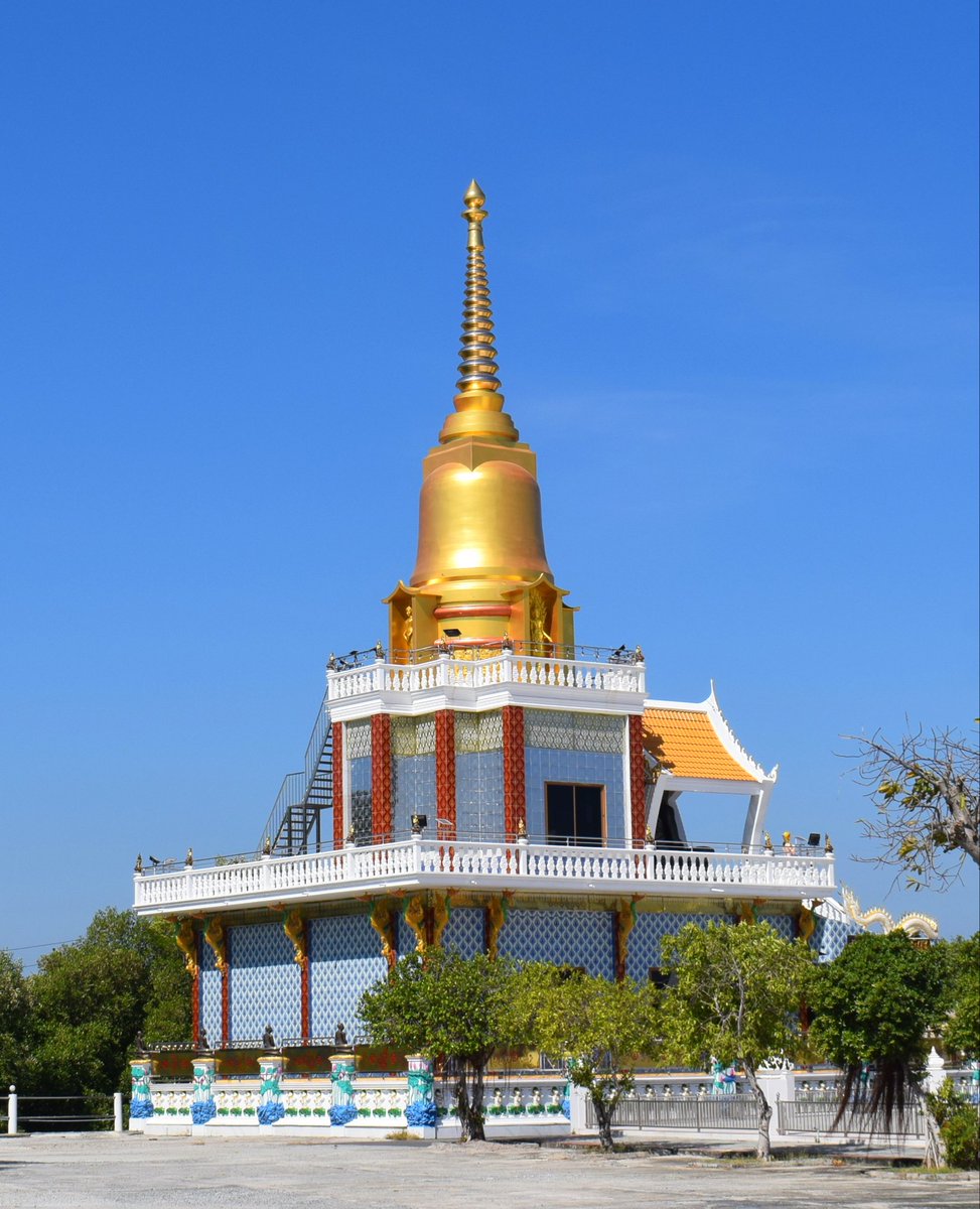 Pat Comer tweet media