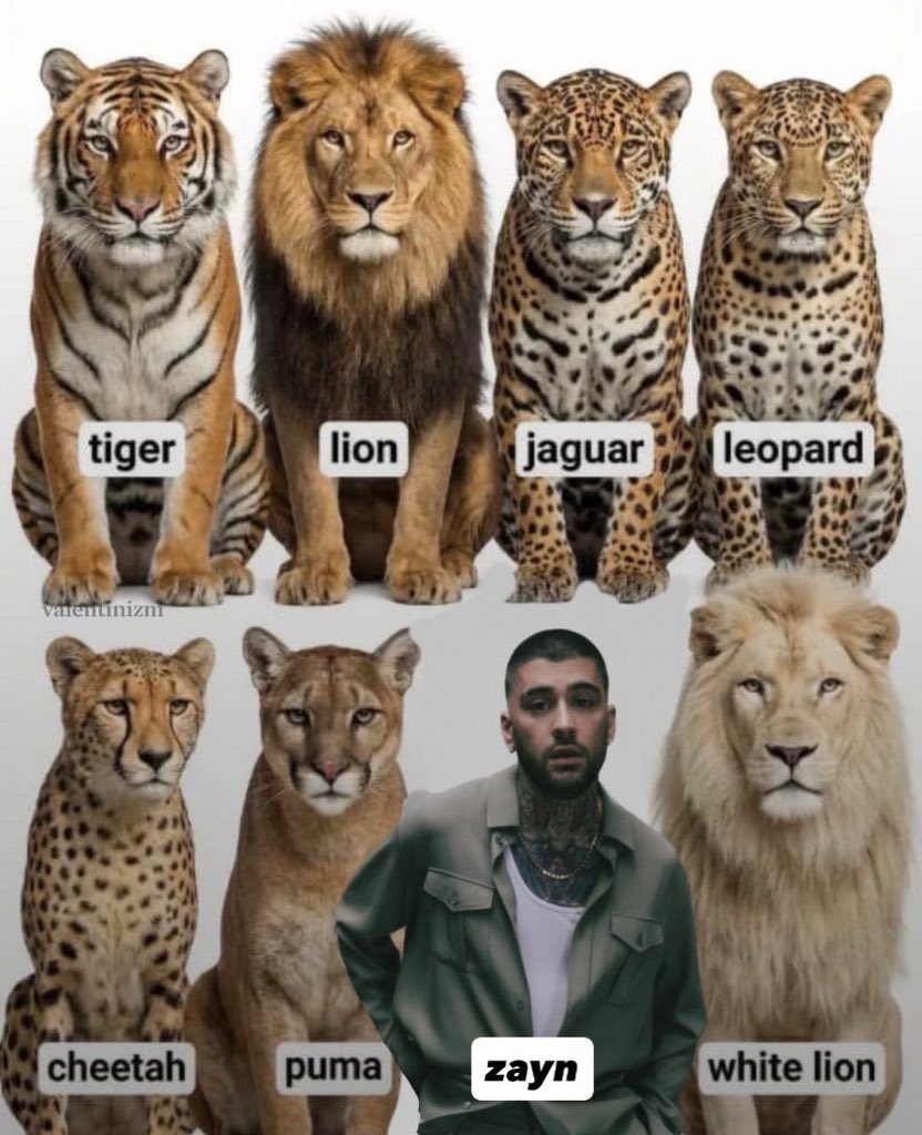 valentinizm's tweet image. 