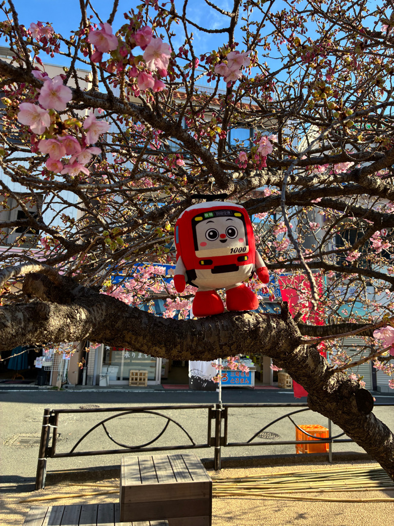 ☆YASS☆ (@tubuyakiyass) / Posts / X