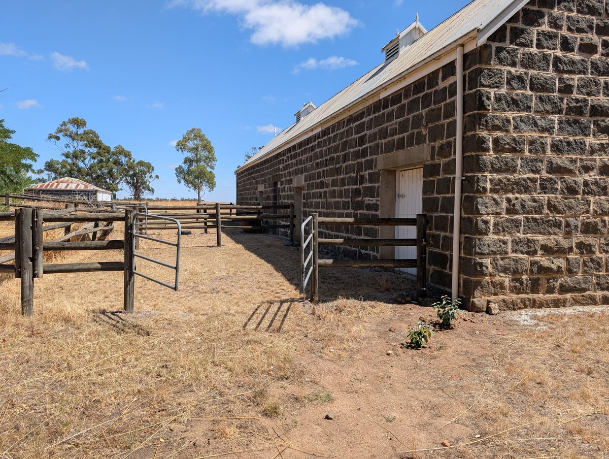 John Sheely tweet media