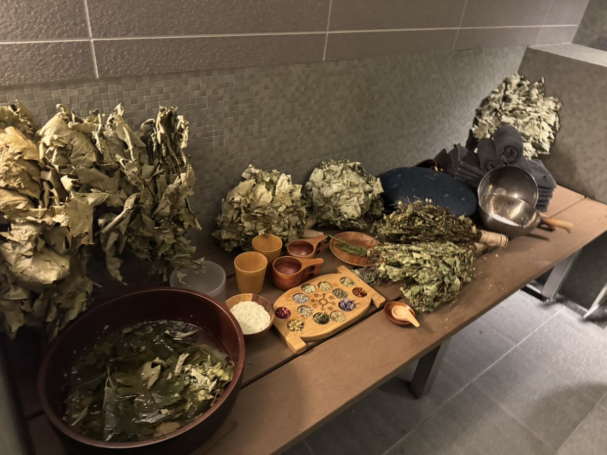 SaunaCamp. tweet media