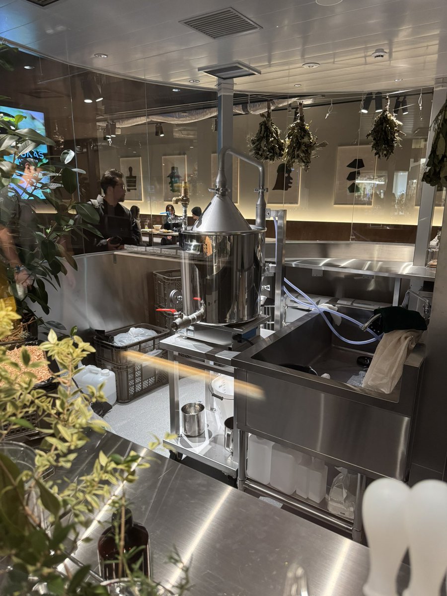 SaunaCamp. tweet media