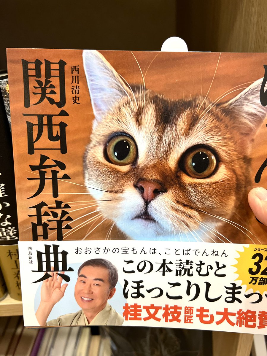 神一南会さん、スキーのついでに寄って、本を補充くださいました⛷️
毛色の変わった猫系の本もあります🐱