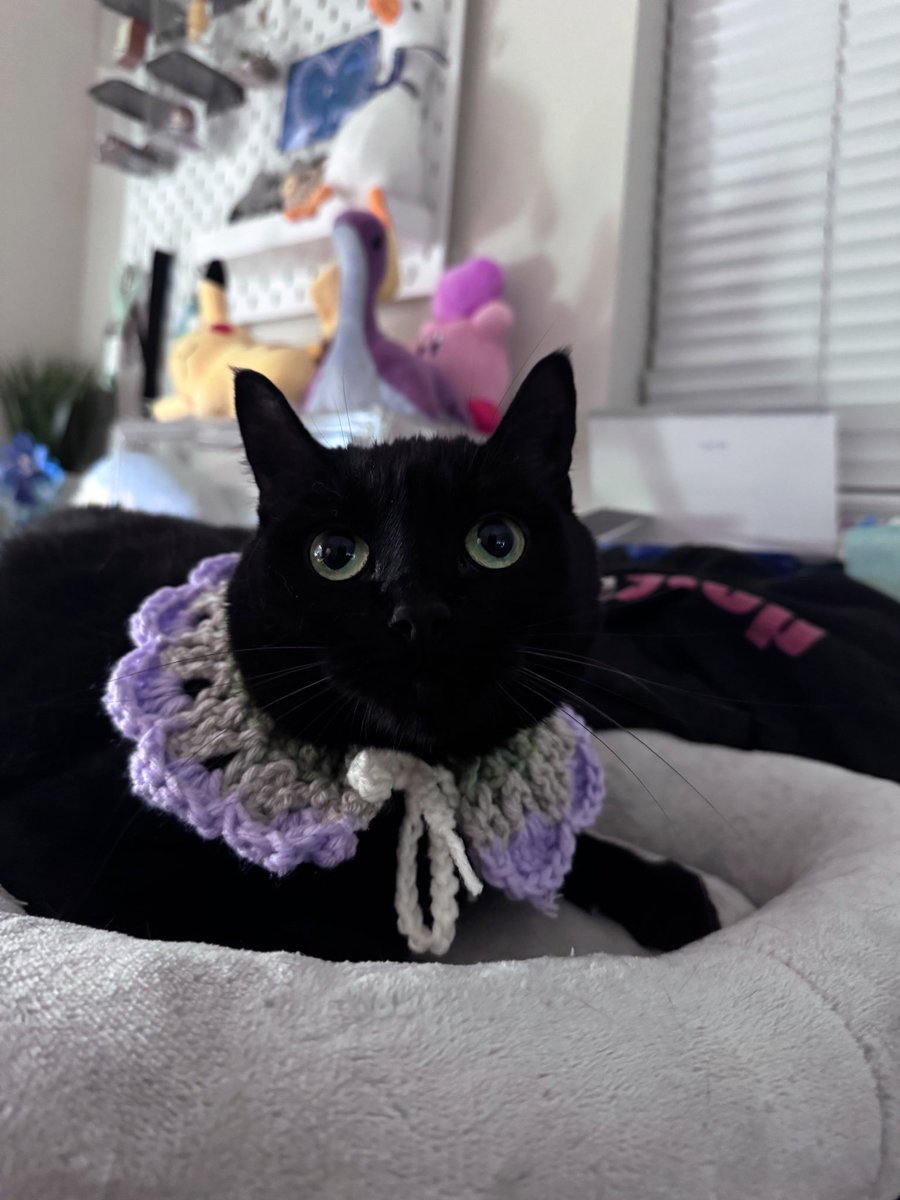 Moriko 🍵🌱 | コダマ tweet media