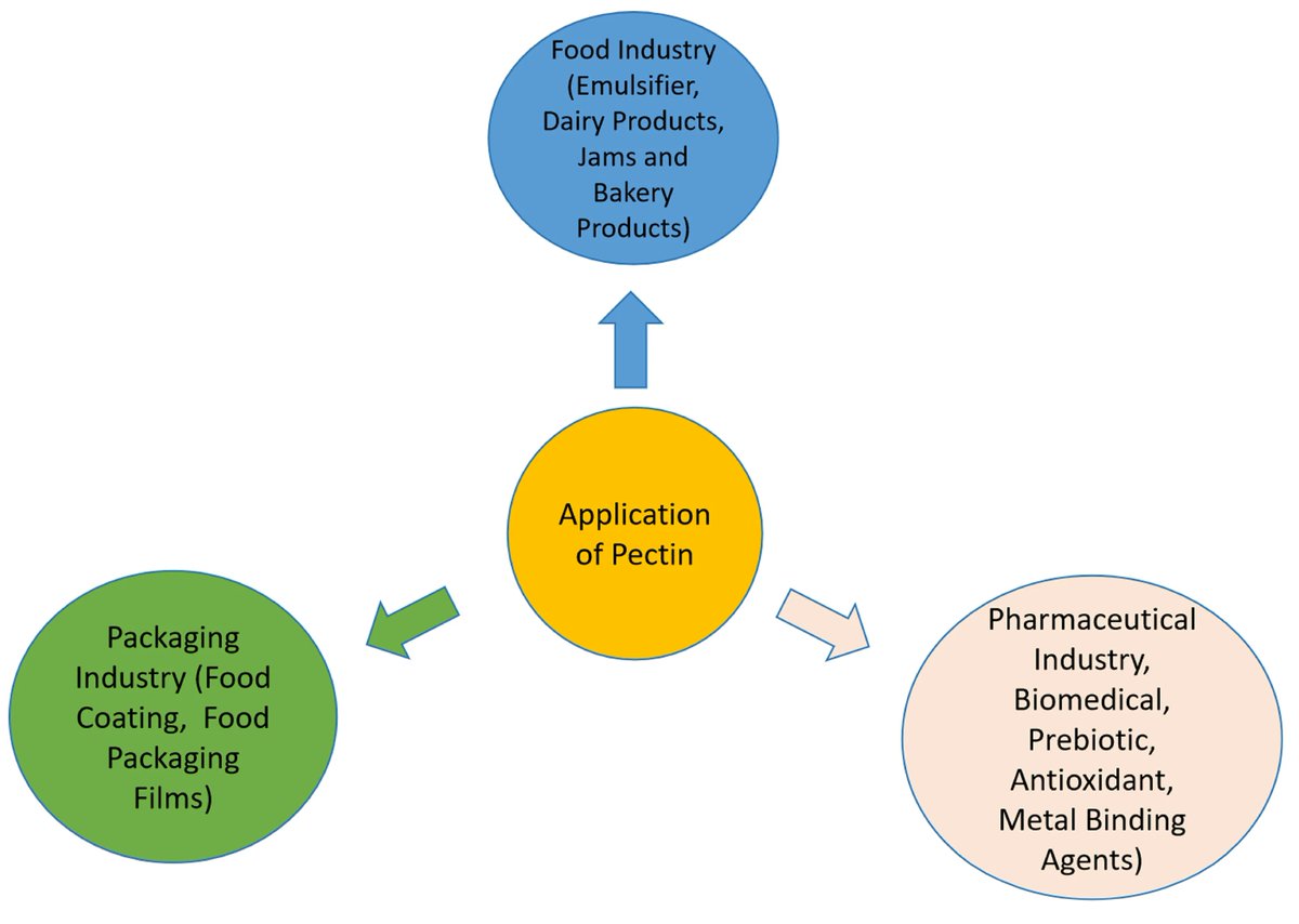 Sep_MDPI's tweet image. #OpenAccess #Review

📑Title: Greener #Pectin #Extraction Techniques: Applications and Challenges

Authors: Shaikh Manirul Haque et al.

📌 brnw.ch/21wZFuv