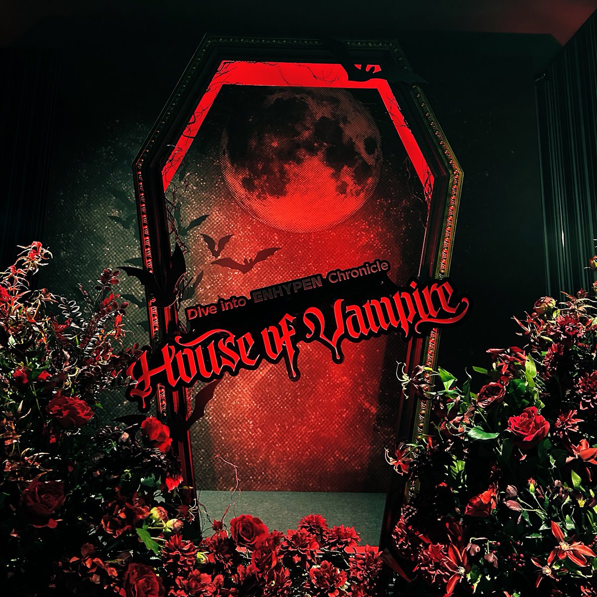 開 幕 ENHYPEN ENHYPEN House of Vampire ミュージアム ニキ 楽曲