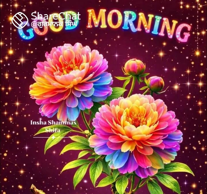 puja tweet media