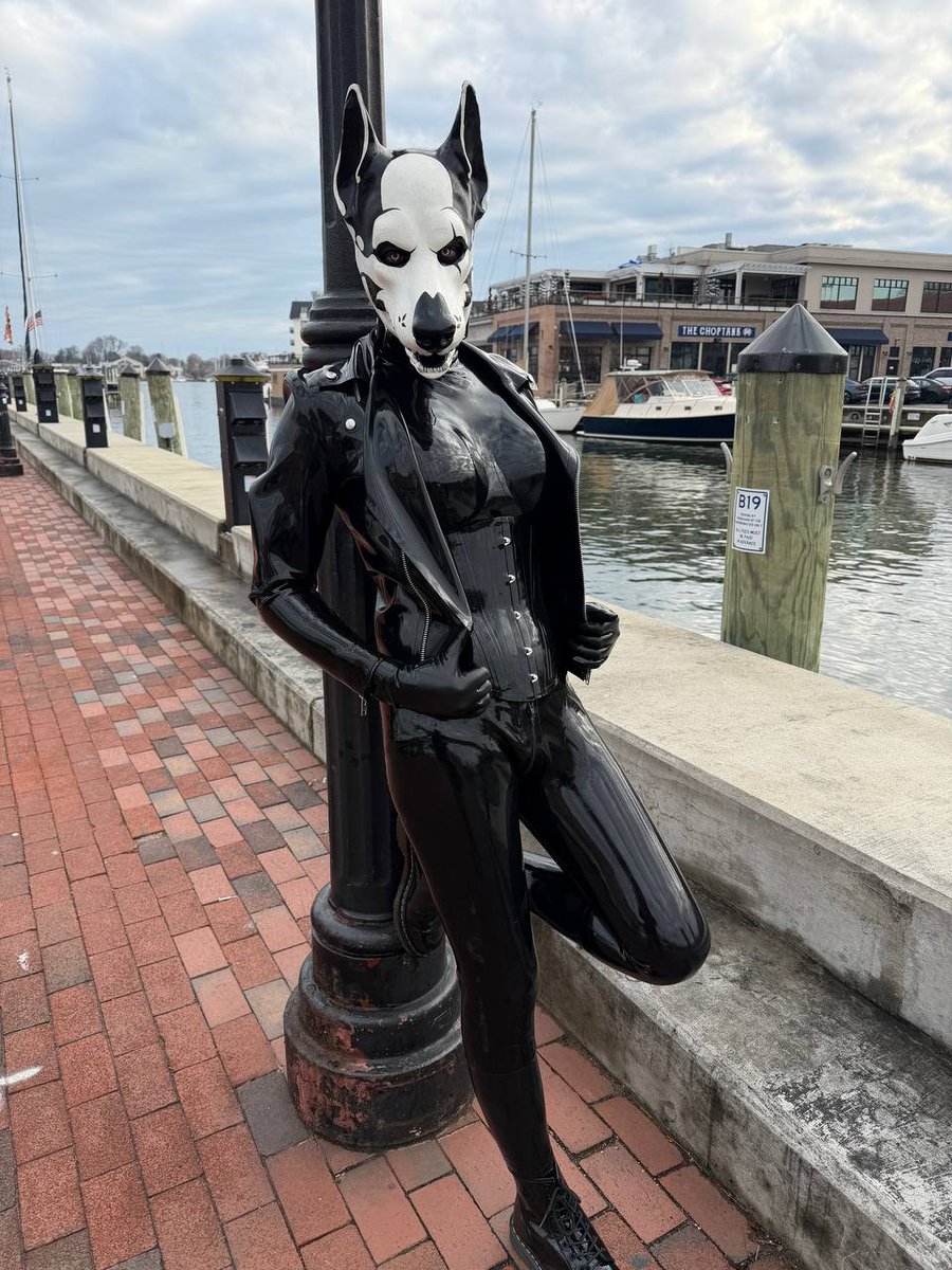 Rubber Creature Luna/ Pup Chew-Toy tweet media