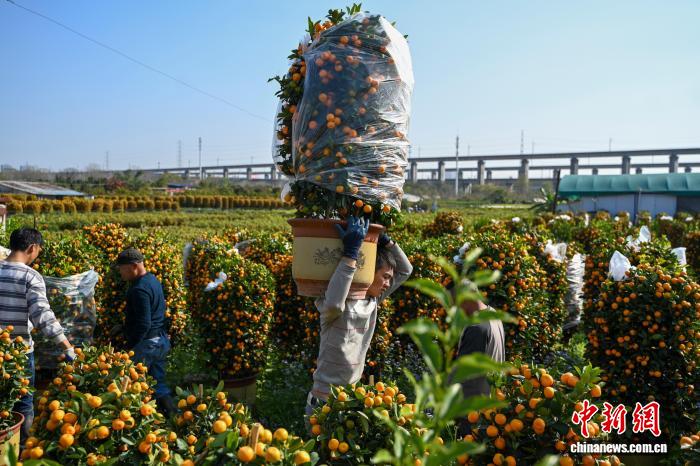 みかんノート (@mikanflavor1) / Posts / X