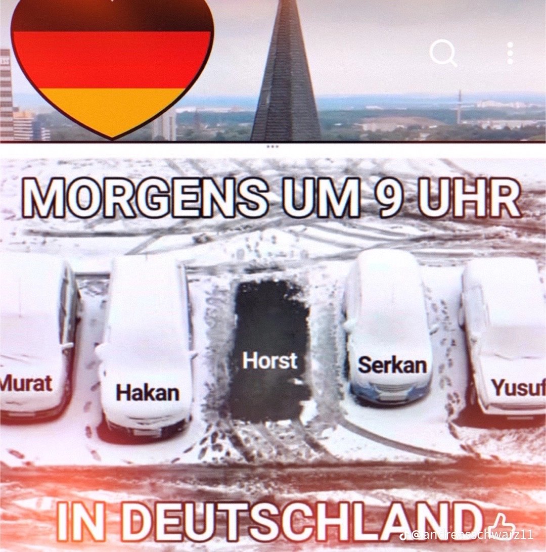 Daniel Vollmer🇩🇪💙 tweet media